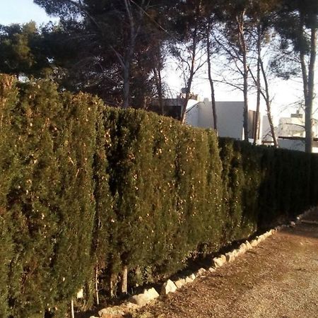 Apartamento Pinomar Teulada Exterior foto