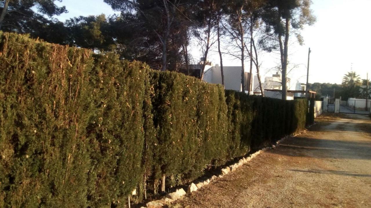 Apartamento Pinomar Teulada Exterior foto
