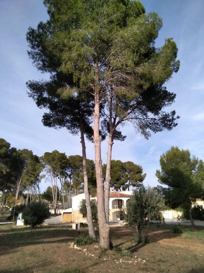 Apartamento Pinomar Teulada Exterior foto
